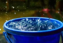 बाल्टीको पानीमा डुबेर नौ महिने बालकको मृत्यु