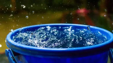 बाल्टीको पानीमा डुबेर नौ महिने बालकको मृत्यु