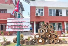 डिभिजन वन कार्यालय मरिणद्वारा ६ कराेड बढि राजश्व संकलन