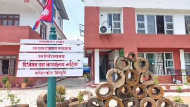 डिभिजन वन कार्यालय मरिणद्वारा ६ कराेड बढि राजश्व संकलन