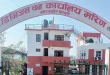 डिभिजन वन कार्यालय मरिणद्वारा ६ कराेड बढि राजश्व संकलन
