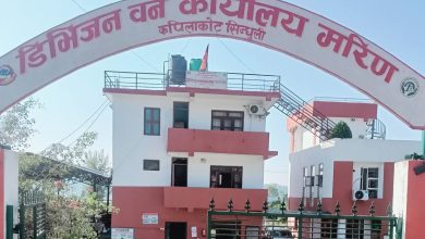 डिभिजन वन कार्यालय मरिणद्वारा ६ कराेड बढि राजश्व संकलन