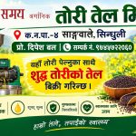 शुद्ध तोरीको तेल सिन्धुली साङ्गवालेमाः