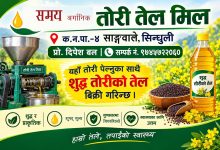 शुद्ध तोरीको तेल सिन्धुली साङ्गवालेमाः